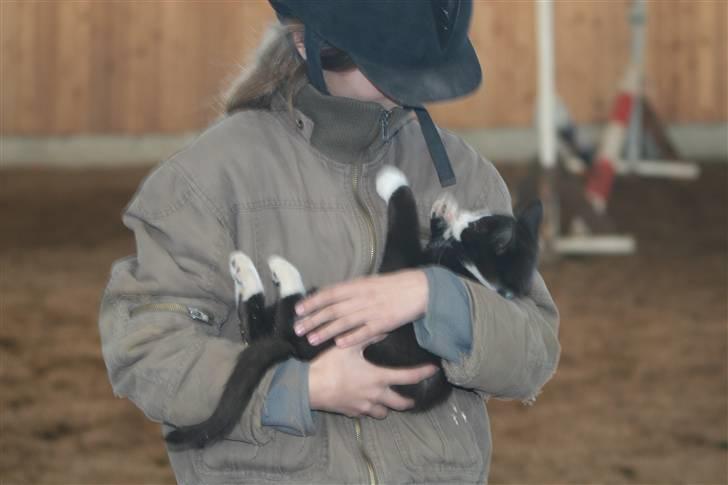 Blanding af racer Tarzan  - Mikki og charmetrollen ;) wee du har du sjov næse, hihi.. min din ridehjelm er sjovest !! ;) billede 6