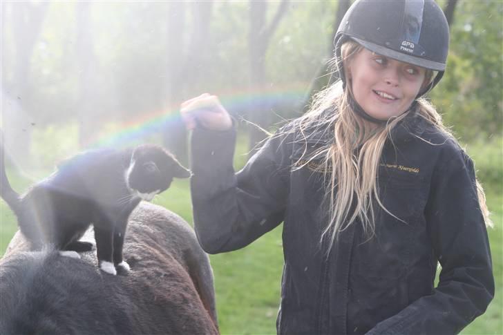 Blanding af racer Tarzan  - Mis´en er sød, men Tia er grim ! xD haha.. billede 10