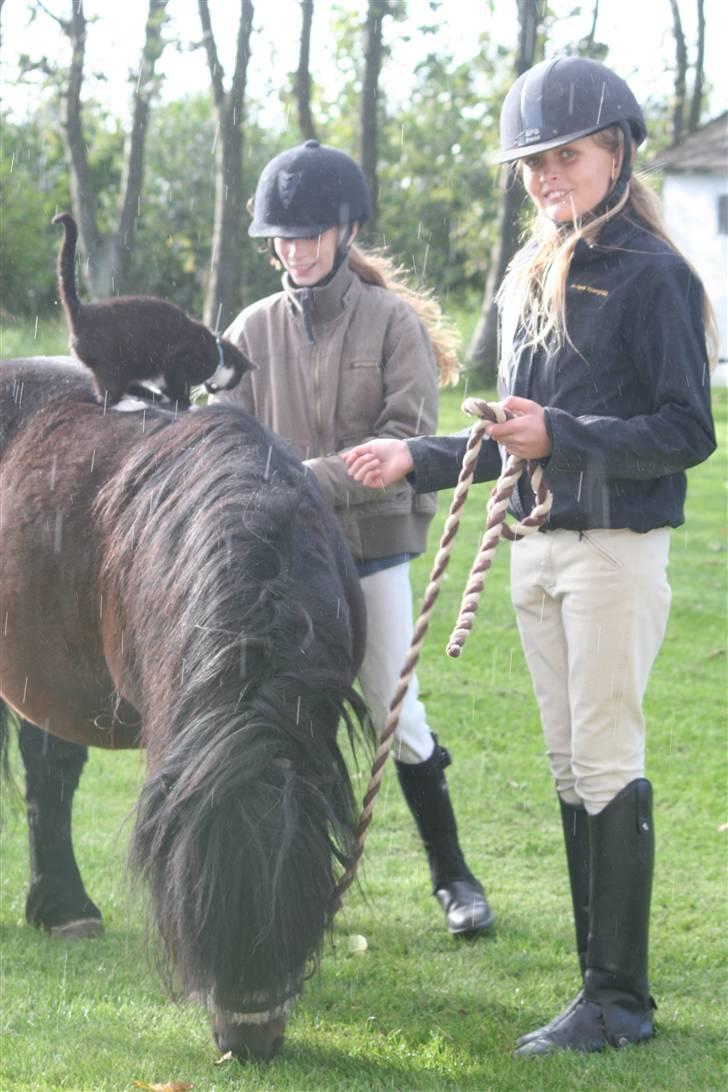 Blanding af racer Tarzan  - Alle sammen sammen.. Mikki, Tia, Rowan, og til sidst den lille charmetrol Tarzan :) billede 11