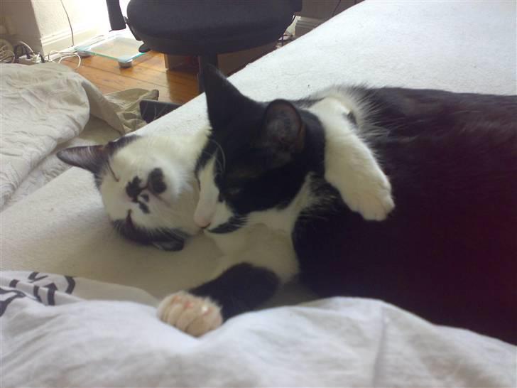 Huskat Sarah - min søster og jeg, som jg elsker overalt på jorden, hva´ skule jeg og gøre uden hende billede 9