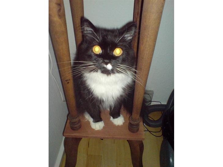 {{currentPhoto.altText}} billede {{currentPhoto.number}}