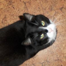 Blanding af racer Oliver