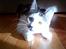 Huskat 'Emilius - Rest in peace