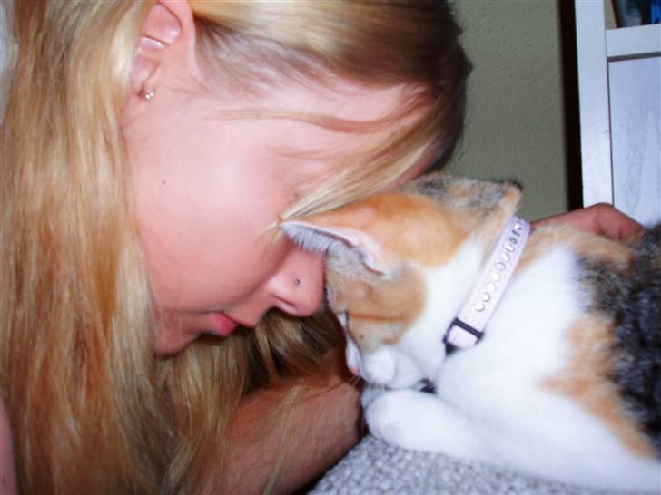 Huskat Amili (Mille) - Mig og Mille hygger :) billede 9