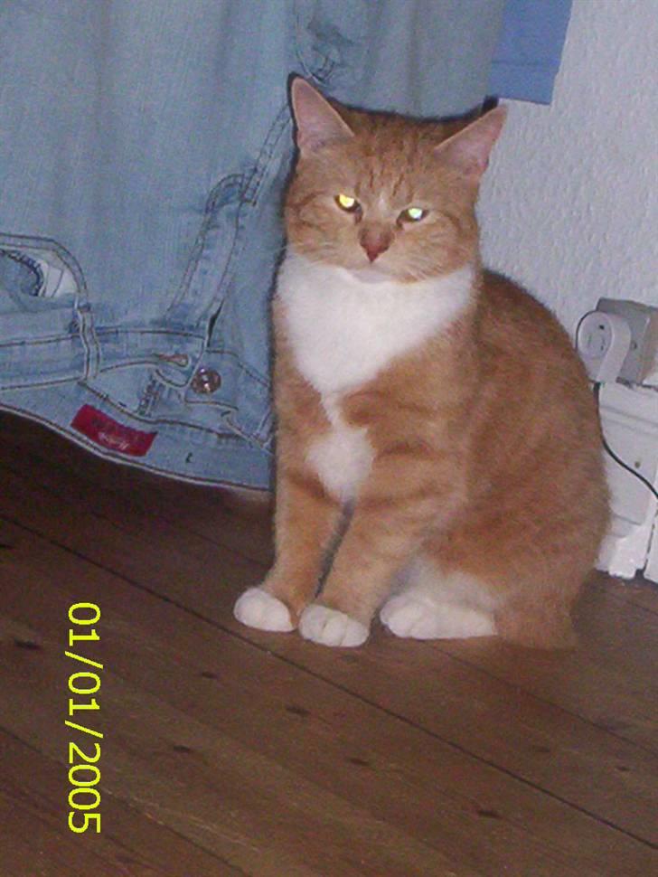 Huskat Topper billede 1