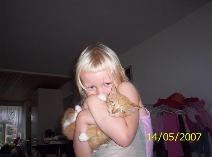 Huskat Topper billede 4