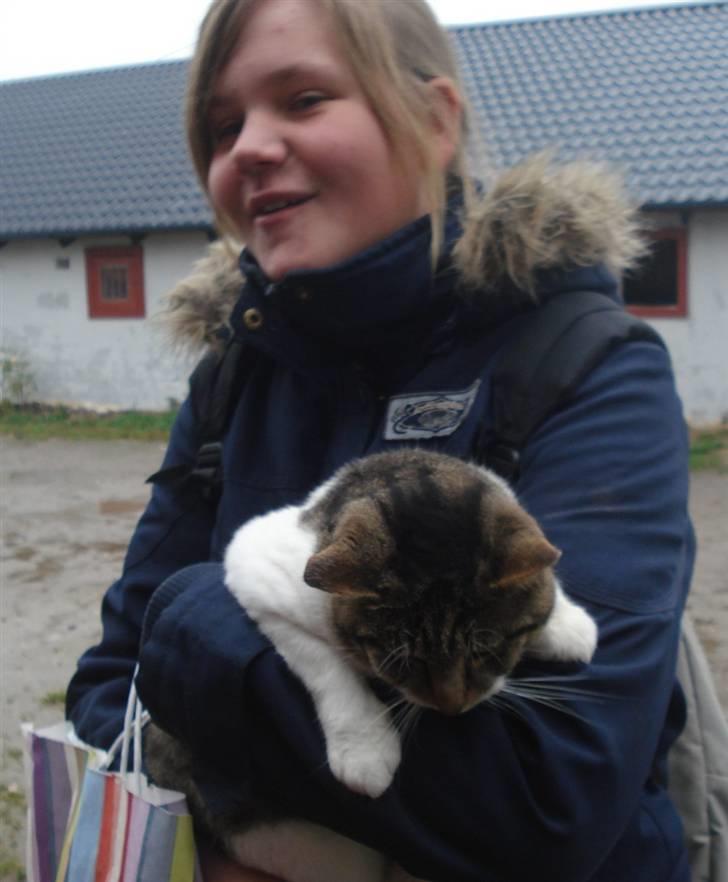 Huskat VRCL's Super Oskar *RIP* billede 5