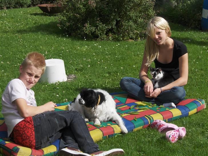 Blanding af racer Dipsi- R.I.P. (L) billede 12