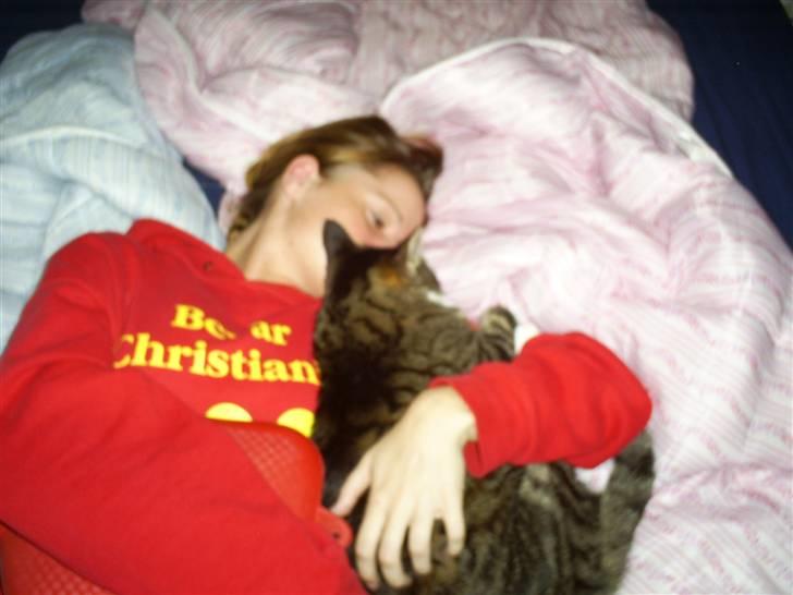 Huskat Batman billede 5