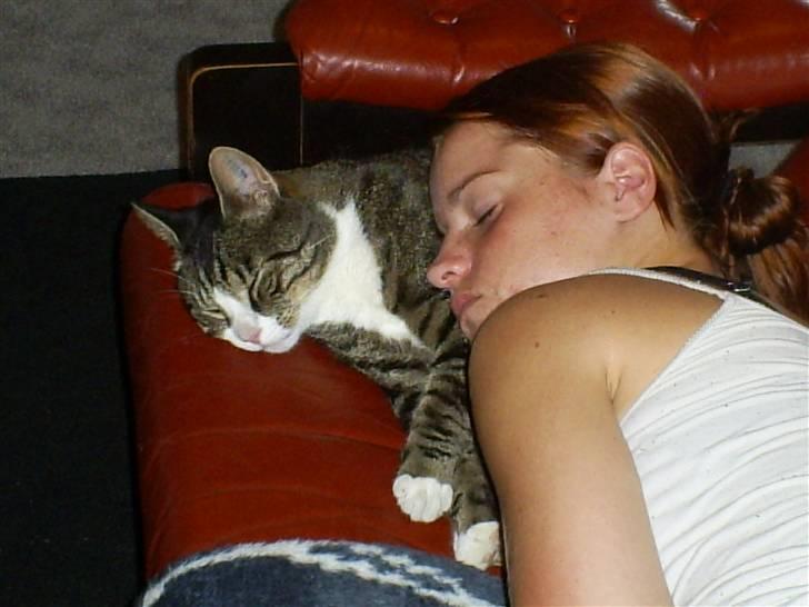 Huskat Batman billede 8