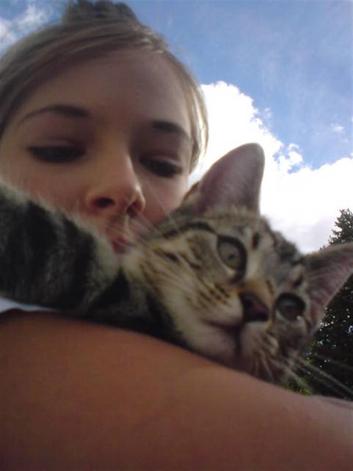 Blanding af racer Emil billede 5