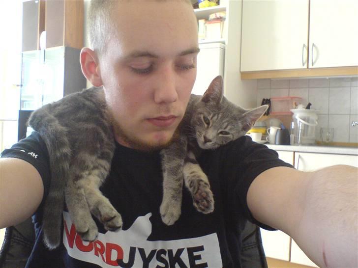 Huskat Piv - det da godt vi også har far at ligge på billede 6