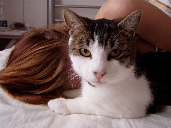 Huskat Manse - Jeg passer altid på min mor når hun sover :) billede 2