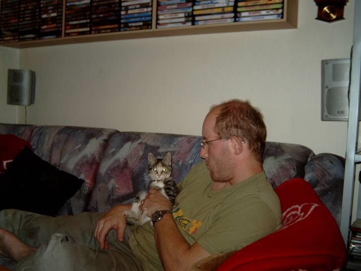 Huskat gizmo - lidt nuseri billede 3