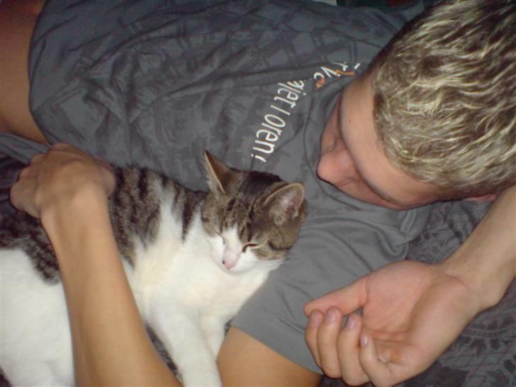 Huskat Snoopy - Hygger lige sammen med far inde i sengen. billede 11