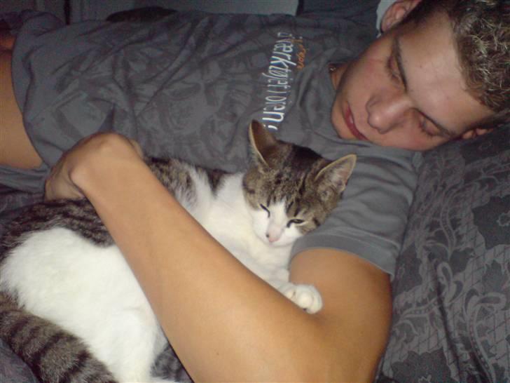 Huskat Snoopy - Det er rigtigt hyggeligt at sove sammen med far. billede 12