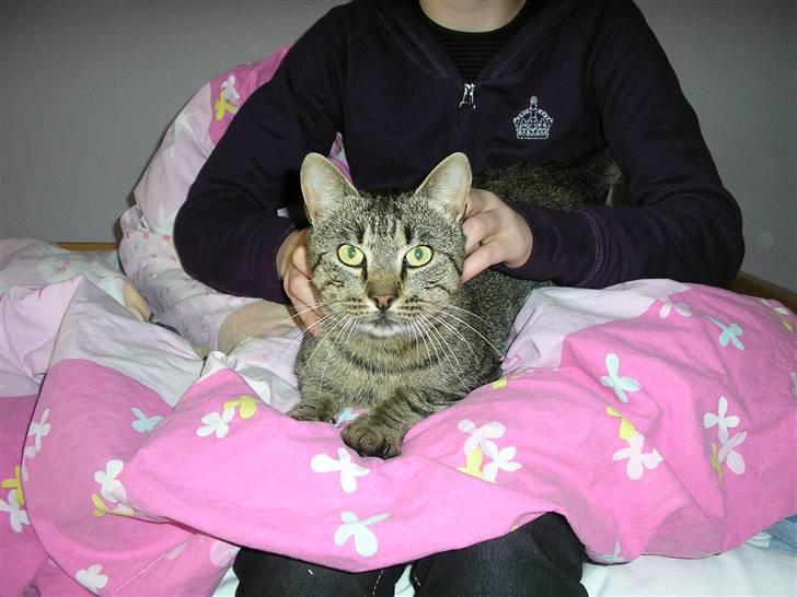 Huskat Mulle#efterlysning# - åh hvor jeg nyder det miav billede 1