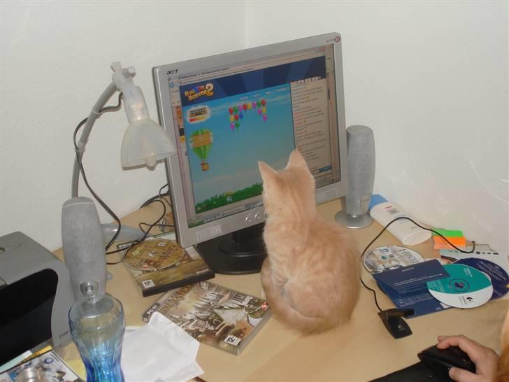 Blanding af racer Holger - ballon spil er bare sjovt..... billede 5