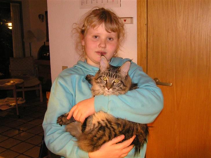 Maine Coon DK-Findus Amelia - Mini mig og mini molly ;P... billede 6