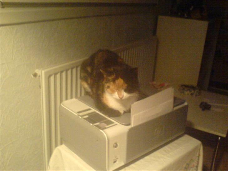 Blanding af racer Pjok <33 - Igen på Printeren <33 :) billede 19