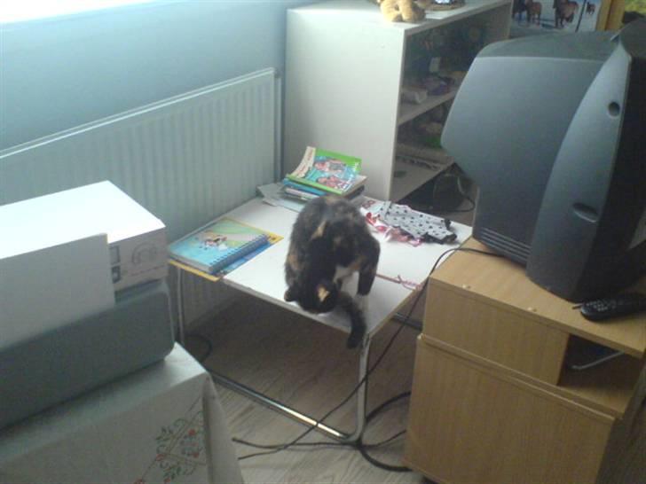 Blanding af racer Pjok <33 - Slikke Slikke :) xD <33 billede 20