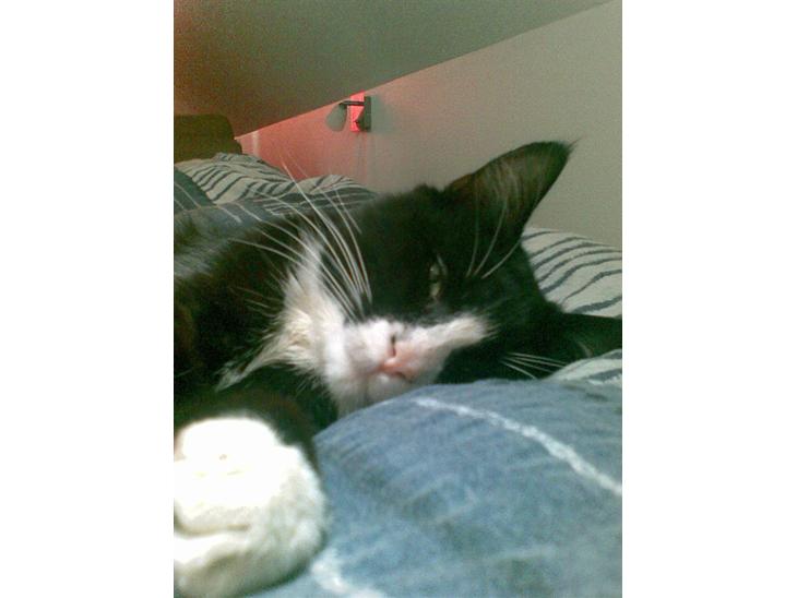 {{currentPhoto.altText}} billede {{currentPhoto.number}}