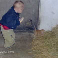 Huskat Miss No Name (død)