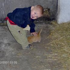 Huskat Miss No Name (død)