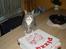 Huskat buller