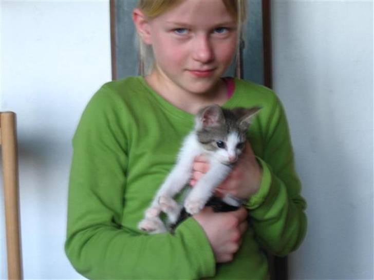 Huskat Oliver billede 2