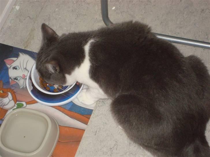 Huskat Snuske billede 7