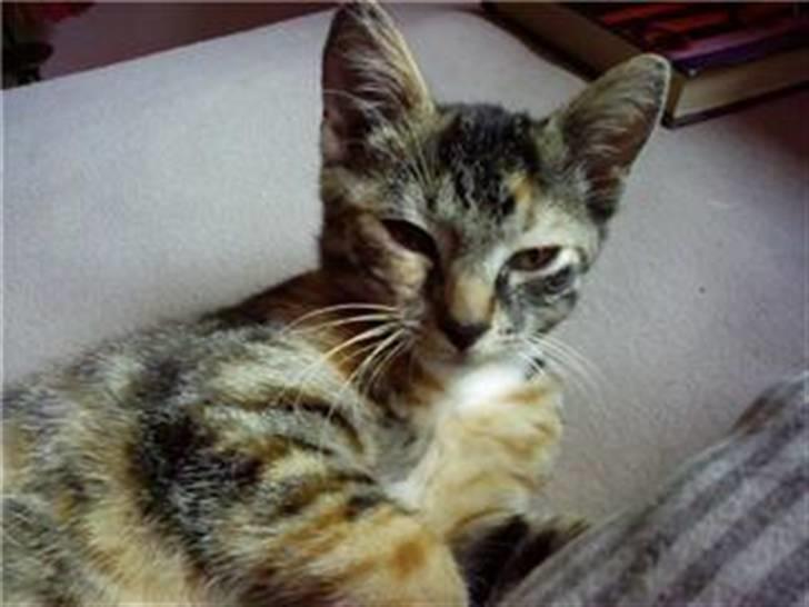 Huskat Isabella - Ikke nu mor, jeg sover faktisk... billede 1