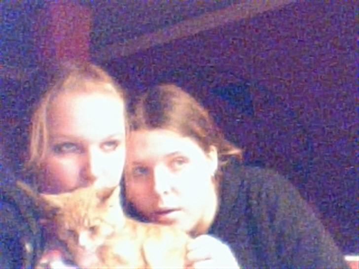 Blanding af racer fijola - fijola og min søs og mig 2005 billede 2