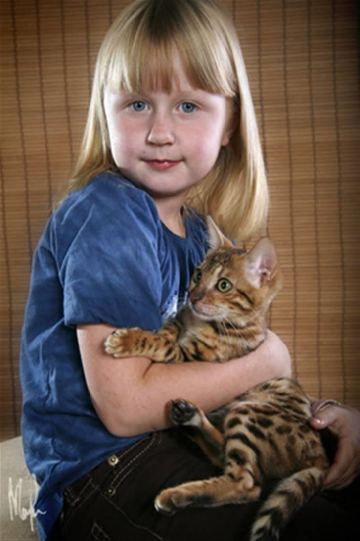 Bengal Purfect Angel - Jag och "lillmatte" Embla billede 5