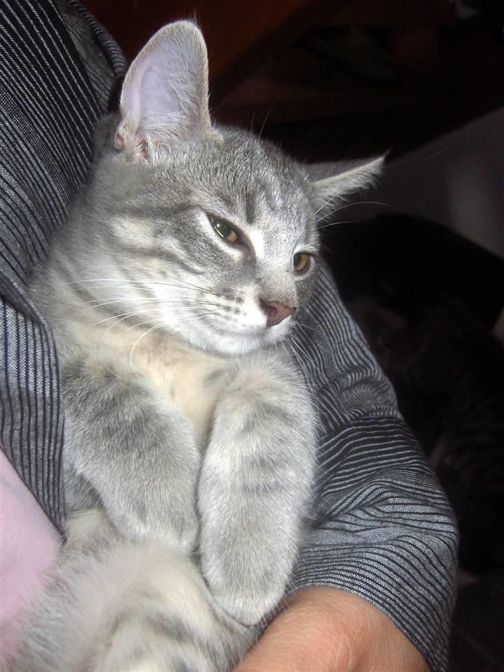 Huskat Kathrine - "Far syntes ikke jeg skulle flytte hjemmefra.2 billede 6