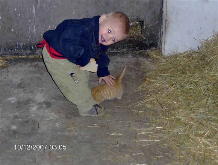 Huskat Miss No Name (død) billede 3