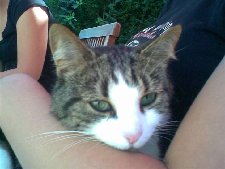 Huskat Georg Ronaldo Jensen - Georgs mor ..De ligner mega meget hinanden.. :D billede 10