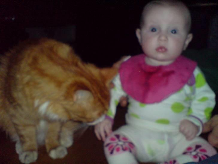 Blanding af racer simba - øv ingen grød på fingrene billede 20