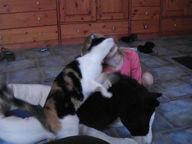 Huskat frida billede 1