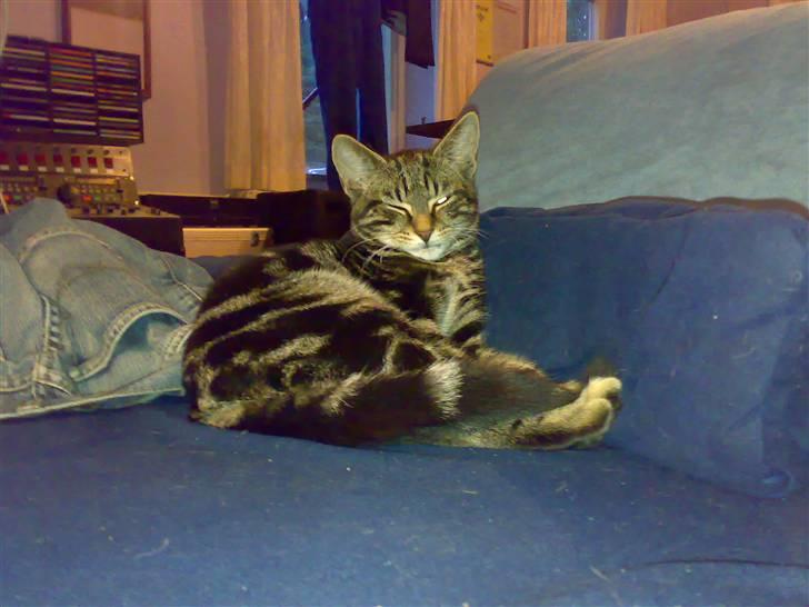 Huskat Piv! *R.I.P.* - Jeg har et halvt øje på dig... hehe billede 7