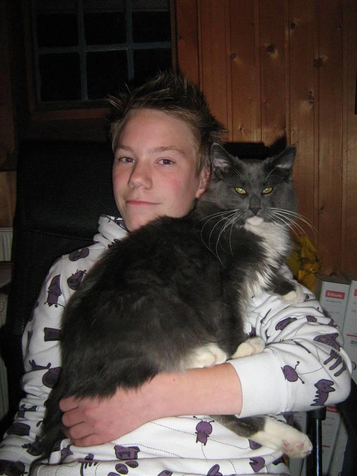 Blanding af racer  NFO/MCO Mega ( Mikkel ) - Mig og så min *storebror* GG* billede 15