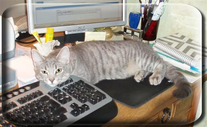 Huskat Kathrine - "Jeg keder mig.!" billede 16