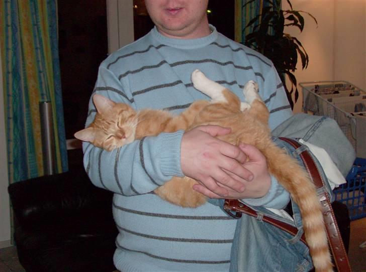 Huskat Lille Mis Rocky - En gang til.. billede 7