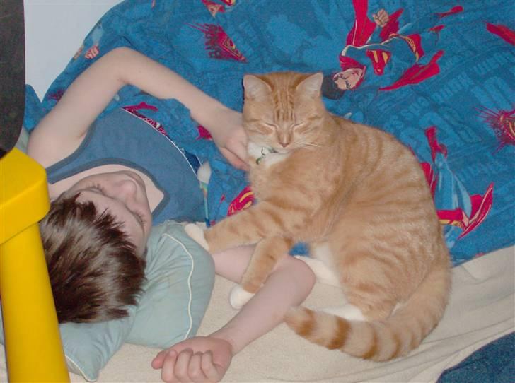 Huskat Lille Mis Rocky - Her sover jeg helst om natten - nærkontakt med min legekammerat er nu bedst ;o) billede 8