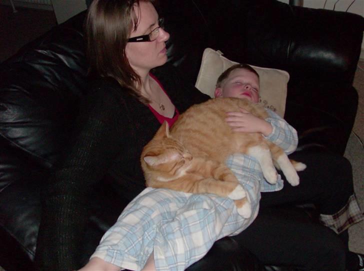 Huskat Lille Mis Rocky - Råhygge med mor og Benjamin - Mmmm, hvor jeg dog elsker det her! Det er bare livet :o) billede 10