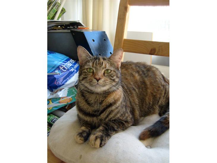 {{currentPhoto.altText}} billede {{currentPhoto.number}}