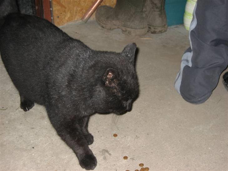 {{currentPhoto.altText}} billede {{currentPhoto.number}}