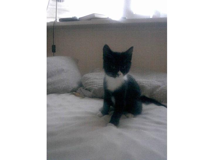 {{currentPhoto.altText}} billede {{currentPhoto.number}}