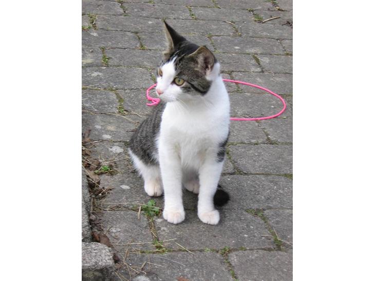 {{currentPhoto.altText}} billede {{currentPhoto.number}}