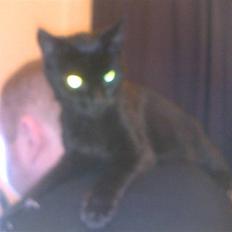 Huskat Millemus (død)